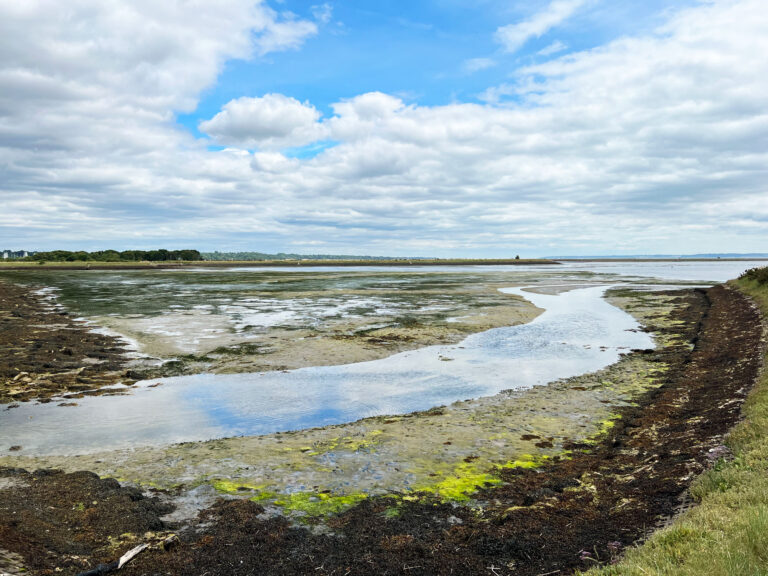 Lymington and Keyhaven Marshes Local Nature Reserve near Christchurch, New Forest