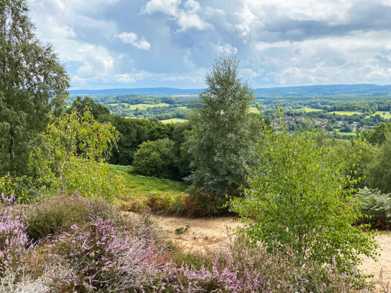 St Martha's Hill in Chilworth near Guildford, Surrey