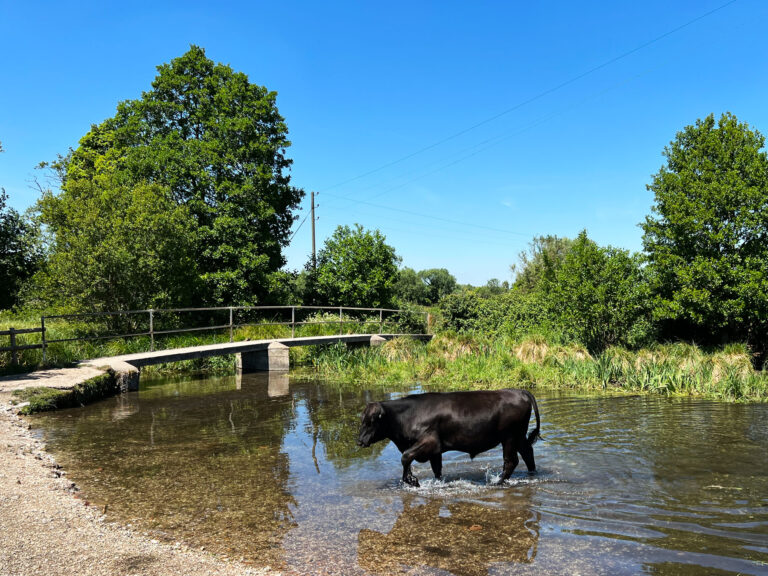 Stockbridge Marsh in Stockbridge, near Andover, Hampshire