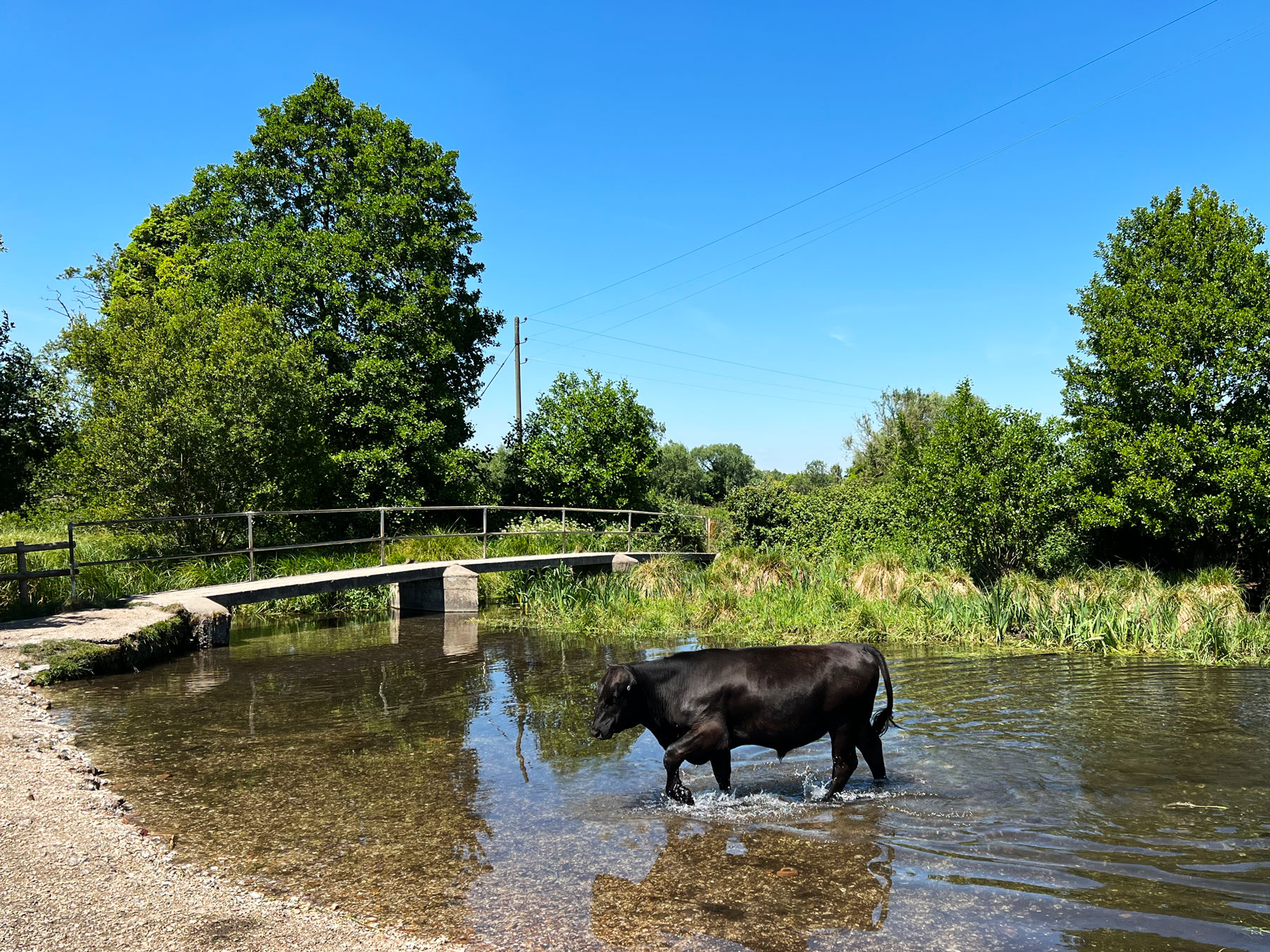 Stockbridge Marsh in Stockbridge, near Andover, Hampshire